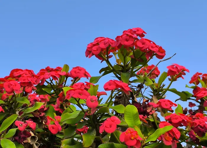 Casa Marina Appartement Lajares