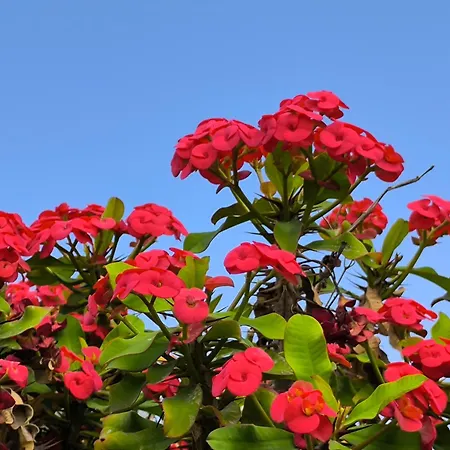 Casa Marina Apartamento Lajares